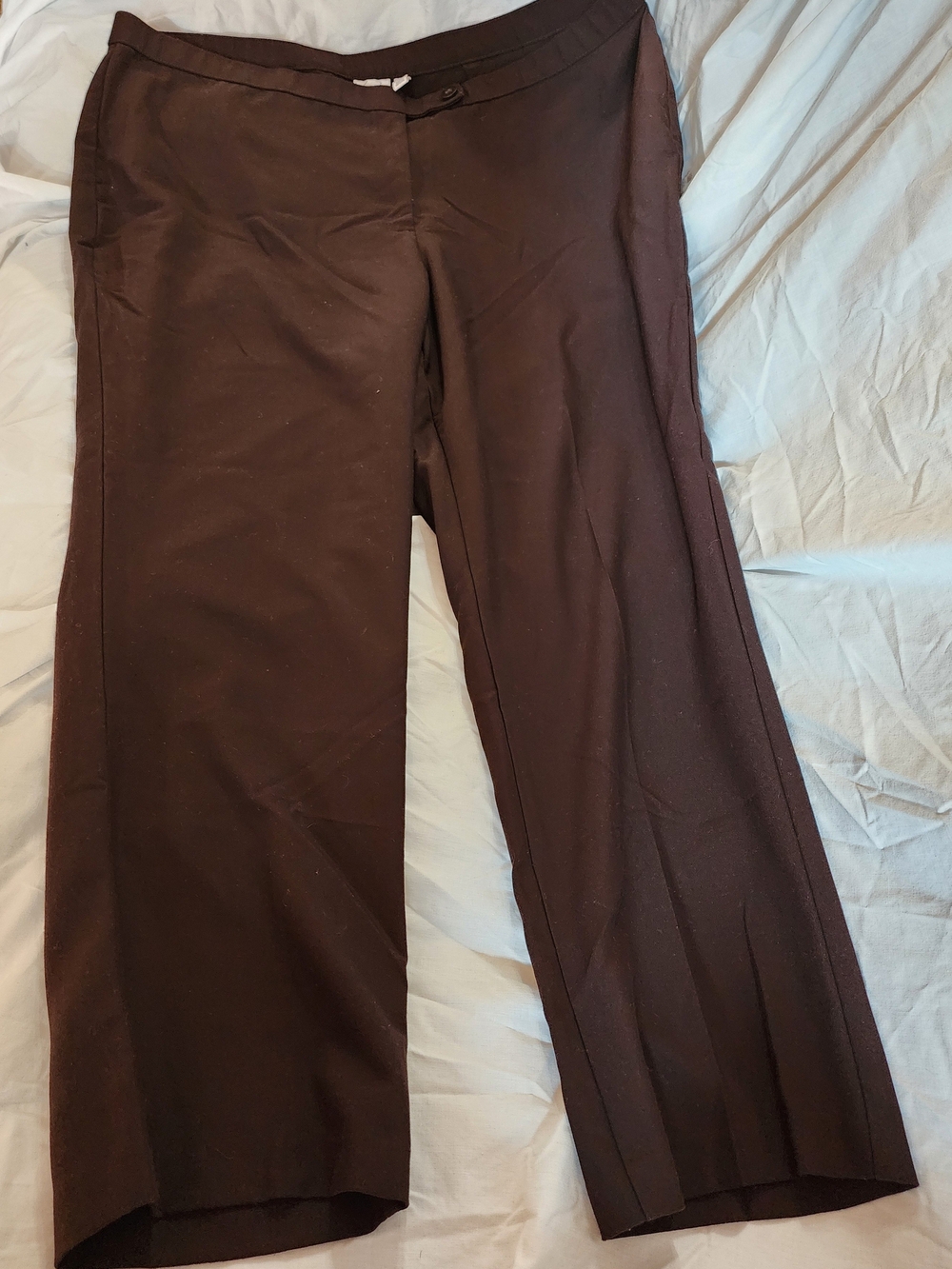 Kim Rogers Women's Trouser  Pants in Dark Brown Size 20 Short